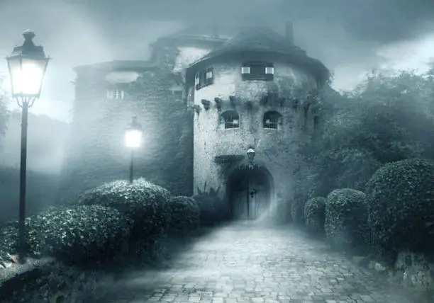 castlecrossing's tweet image. Step into the vibrant world of Castle Crossing and let your creativity take flight with every story you explore. #GraphicNovelJourney #AdventureAwaits #StorytellingMagic castlecrossing.com