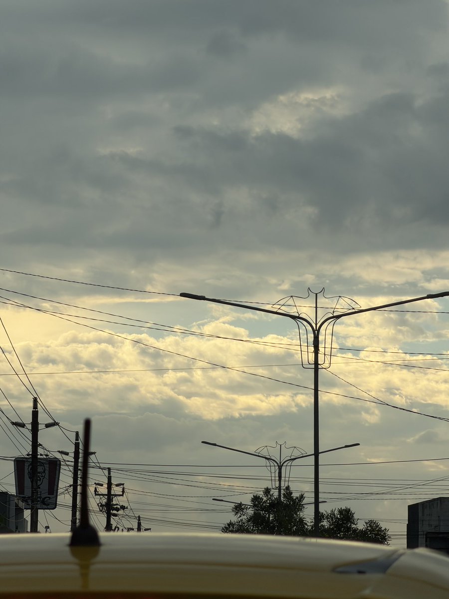 fady lyl tweet media