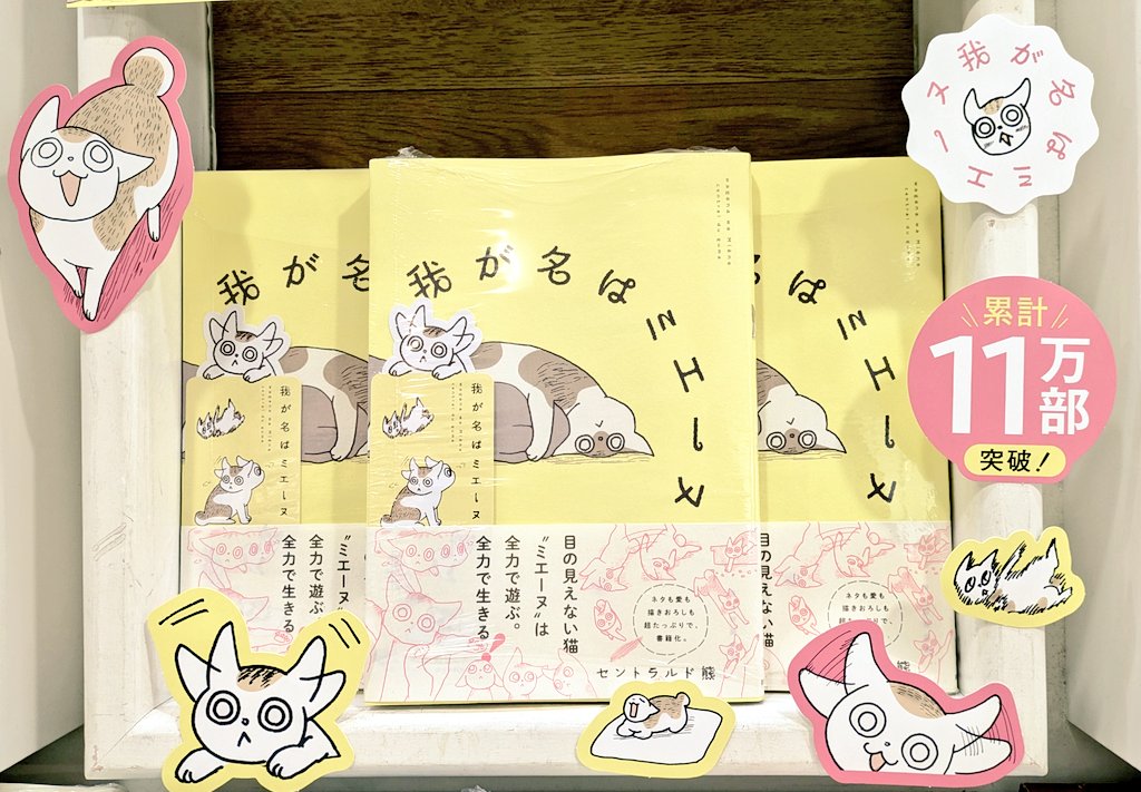 我が名はミエーヌ🐱✨】 ＃セントラルド熊 先生が描く、笑って泣けて