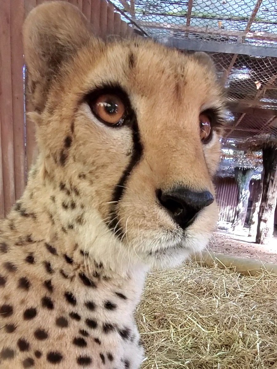 まゆ (@mayu0000228) / Posts / X