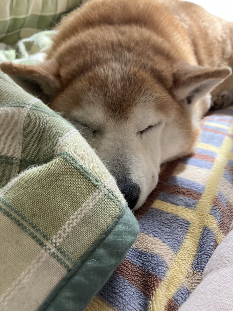 pompoco (@pompoco13) / Posts / X