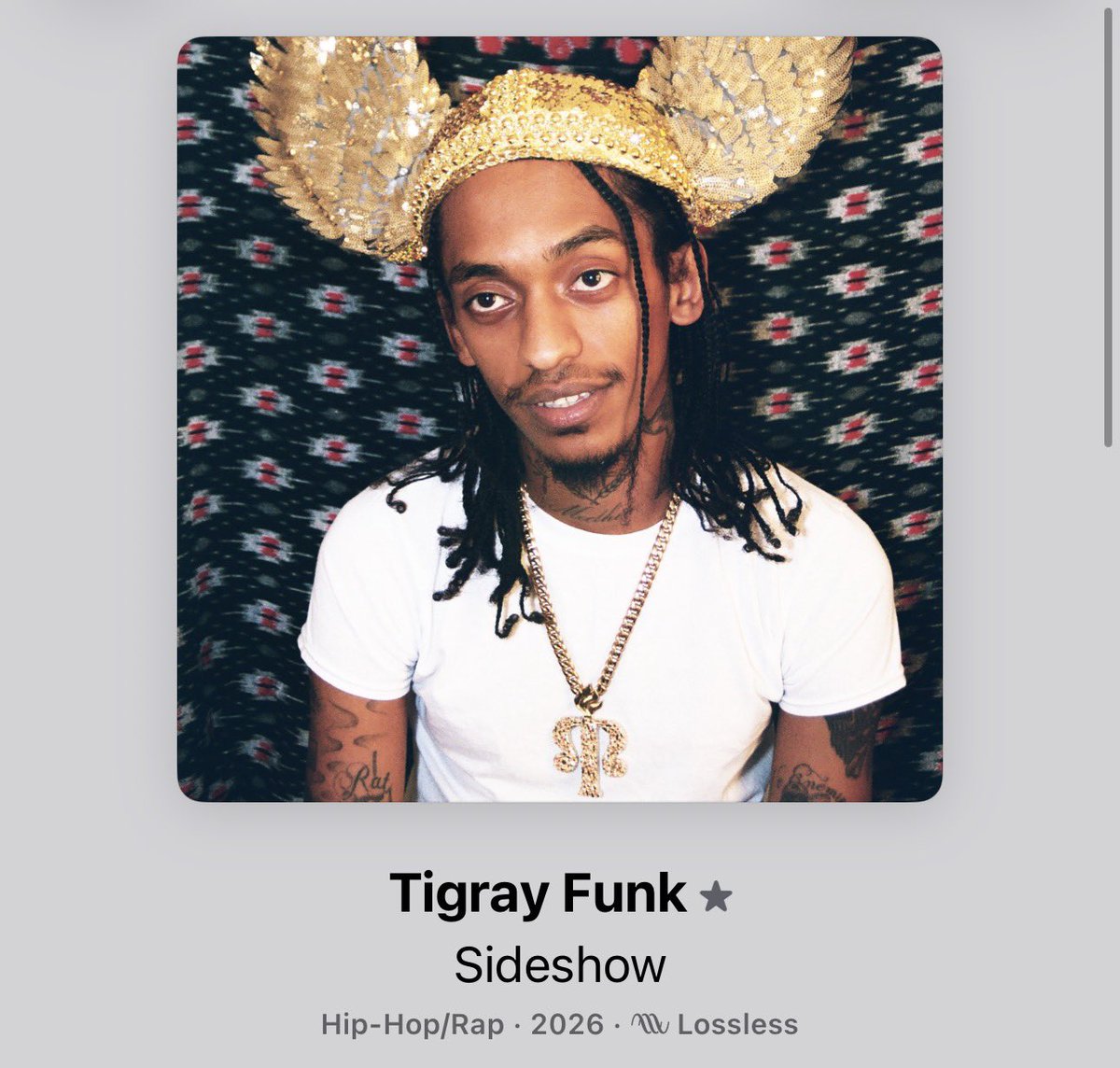 redacted tweet media