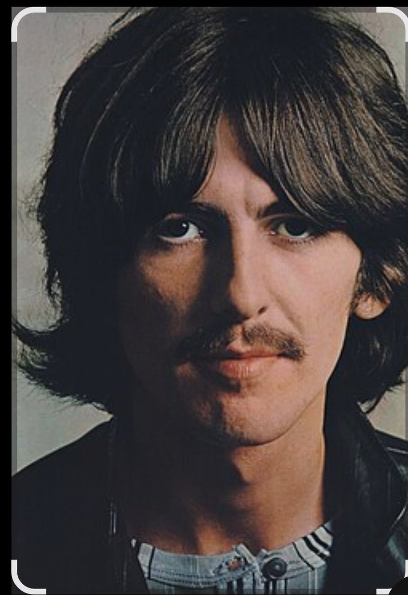 Maureen 🌍 ☮️ 🇺🇦 🟦 tweet media