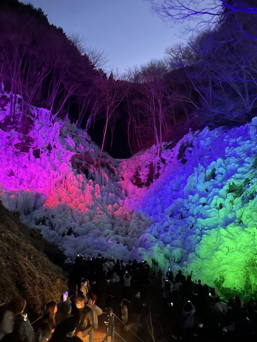 TravelMemonu's tweet photo. 冬の秩父が想像以上でした。

「あしがくぼの氷柱」夜のライトアップ。

鋭いつららを想像していましたが、
実際はモコモコとした氷のカーテンのような造形。

https://t.co/nwksuSOuob

#秩父 #あしがくぼの氷柱 #冬の絶景 https://t.co/CD5EYjHG5z