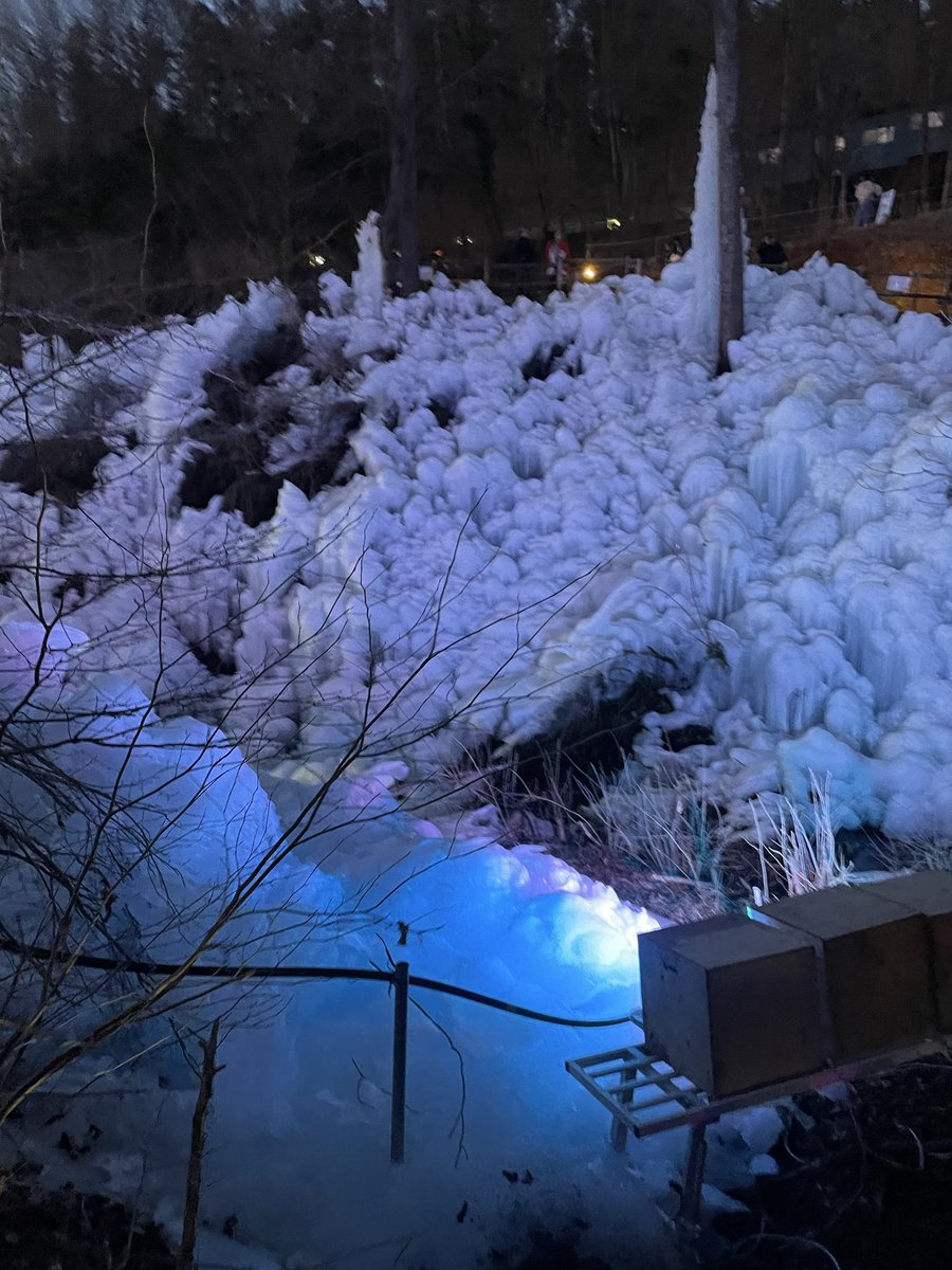 TravelMemonu's tweet photo. 冬の秩父が想像以上でした。

「あしがくぼの氷柱」夜のライトアップ。

鋭いつららを想像していましたが、
実際はモコモコとした氷のカーテンのような造形。

https://t.co/nwksuSOuob

#秩父 #あしがくぼの氷柱 #冬の絶景 https://t.co/CD5EYjHG5z