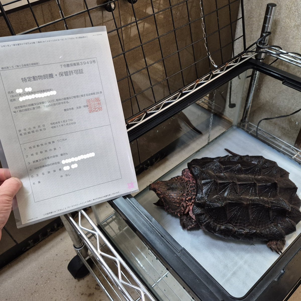 銀パパ (@ynakano12) / Posts / X