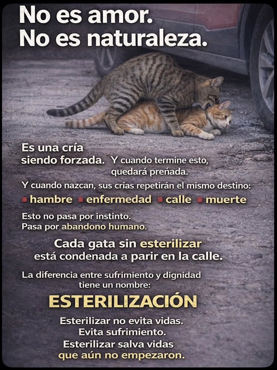 Gina Romero tweet media