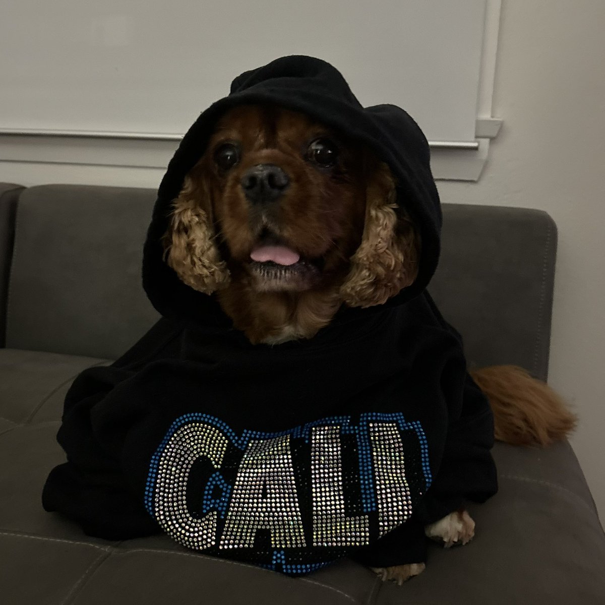 goodnight to all the cali athletes yall rlly did that today