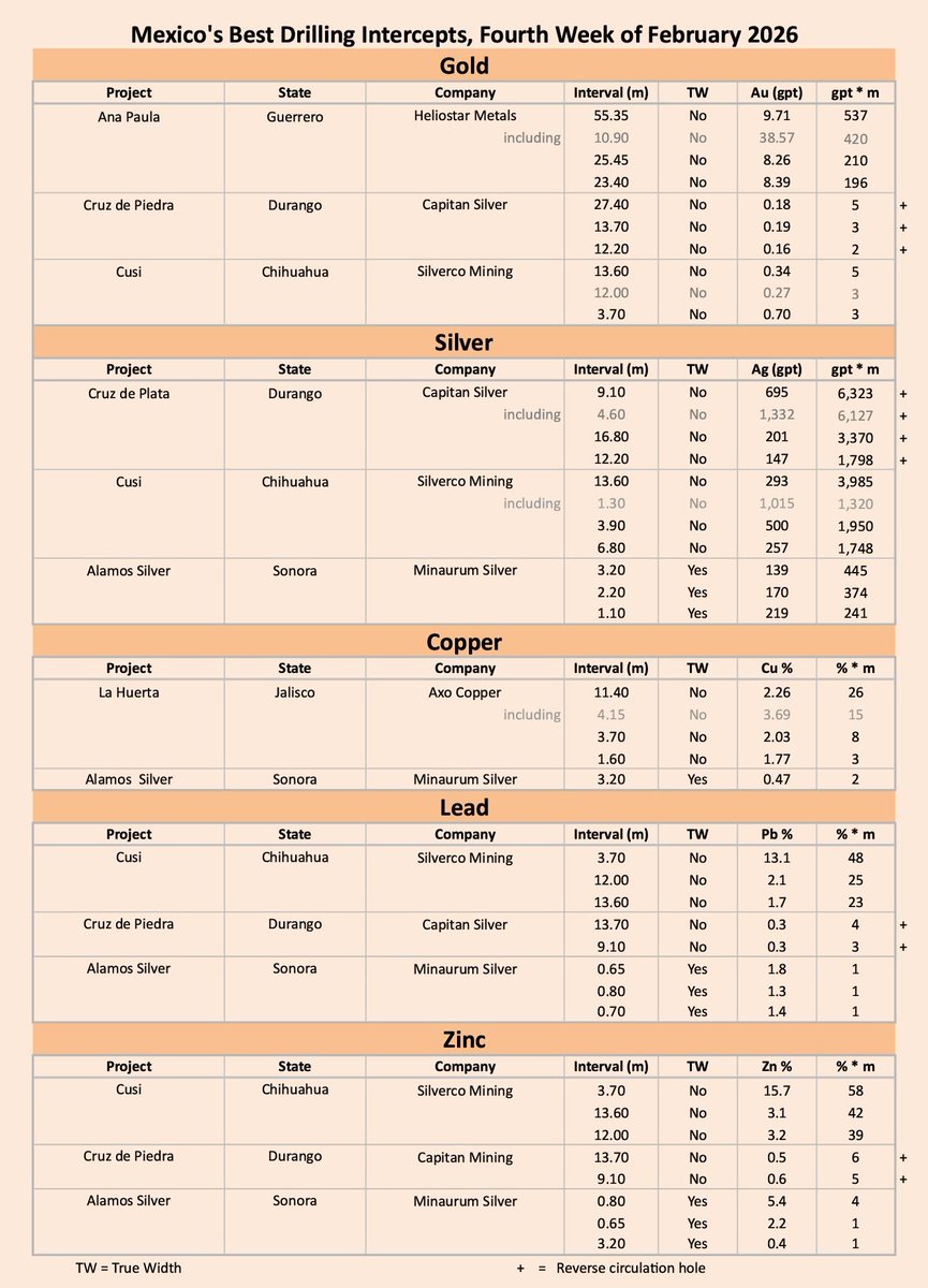 Gambusino Prospector tweet media