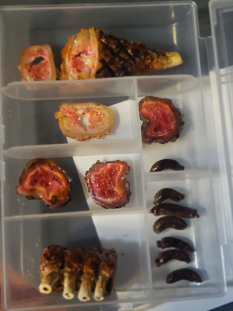 larart10000's tweet photo. #ArtBreak #miniatures #miniaturefood #Cranks
Feast your eyes on my miniature food... protect your mental health 🫂 https://t.co/2U8nXLsVjX