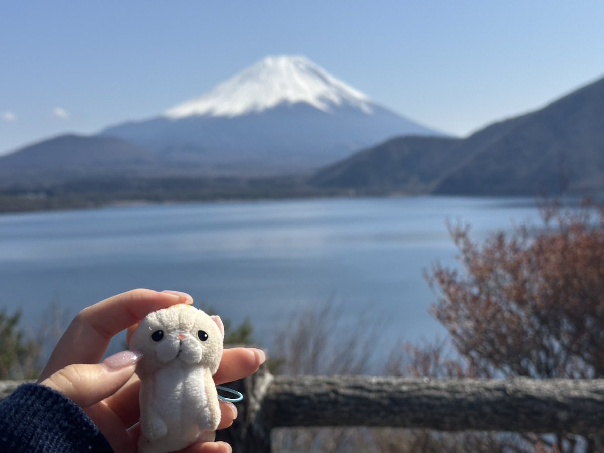 xol0ed's tweet photo. ももさん富士山だよ
 #ももさんとおでかけ https://t.co/QmkUzIEZEn