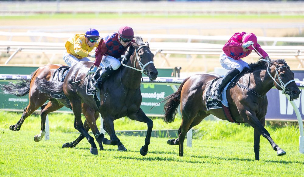 Michael Lane Racing tweet media