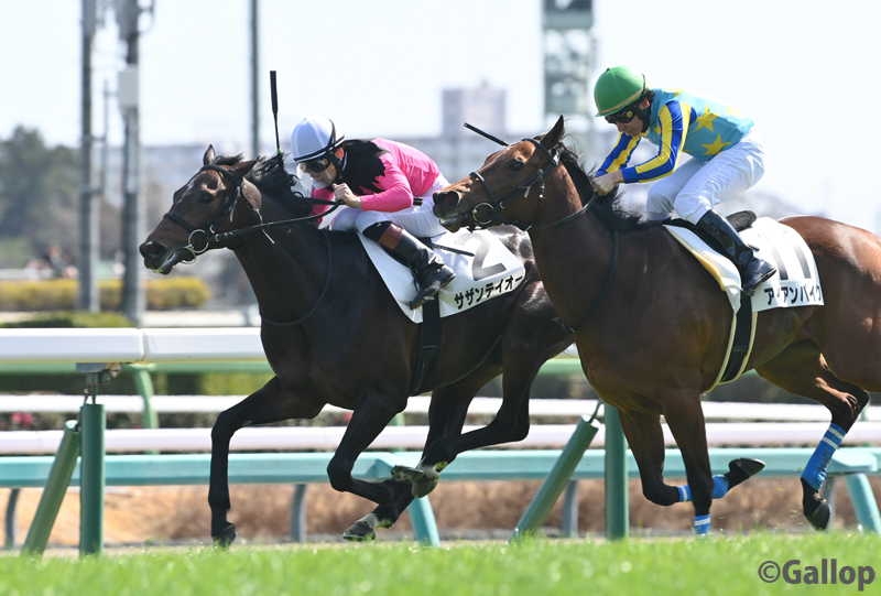 ぴょんぴょんうま (@tFb3Ozev5F46449) / Posts / X