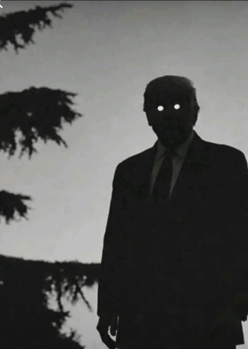 BornInDissnance's tweet photo. @LectorHistoria Ahí viene Trump, perro. 👻 https://t.co/xOznBqN4KK