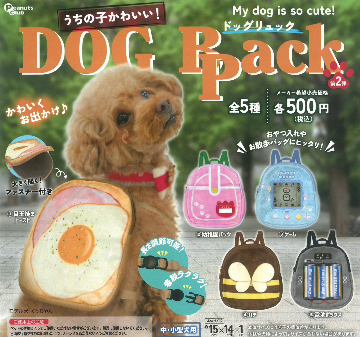 3/1（日）本日の入荷情報🛥️⭐️ 📝うちの子かわいい！ ドッグ