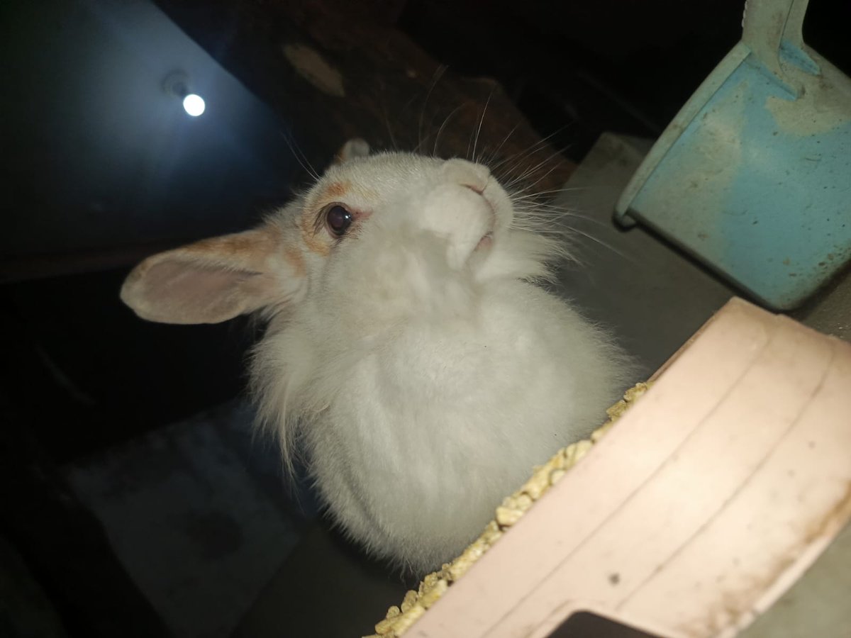 clover hr ini 5 tahun🥳🥳