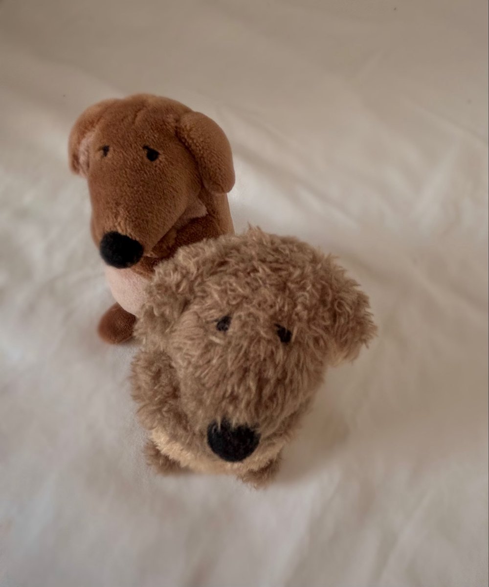 仲良しいぬ💞

かわいく出来上がりました
#手作りぬいぐるみ