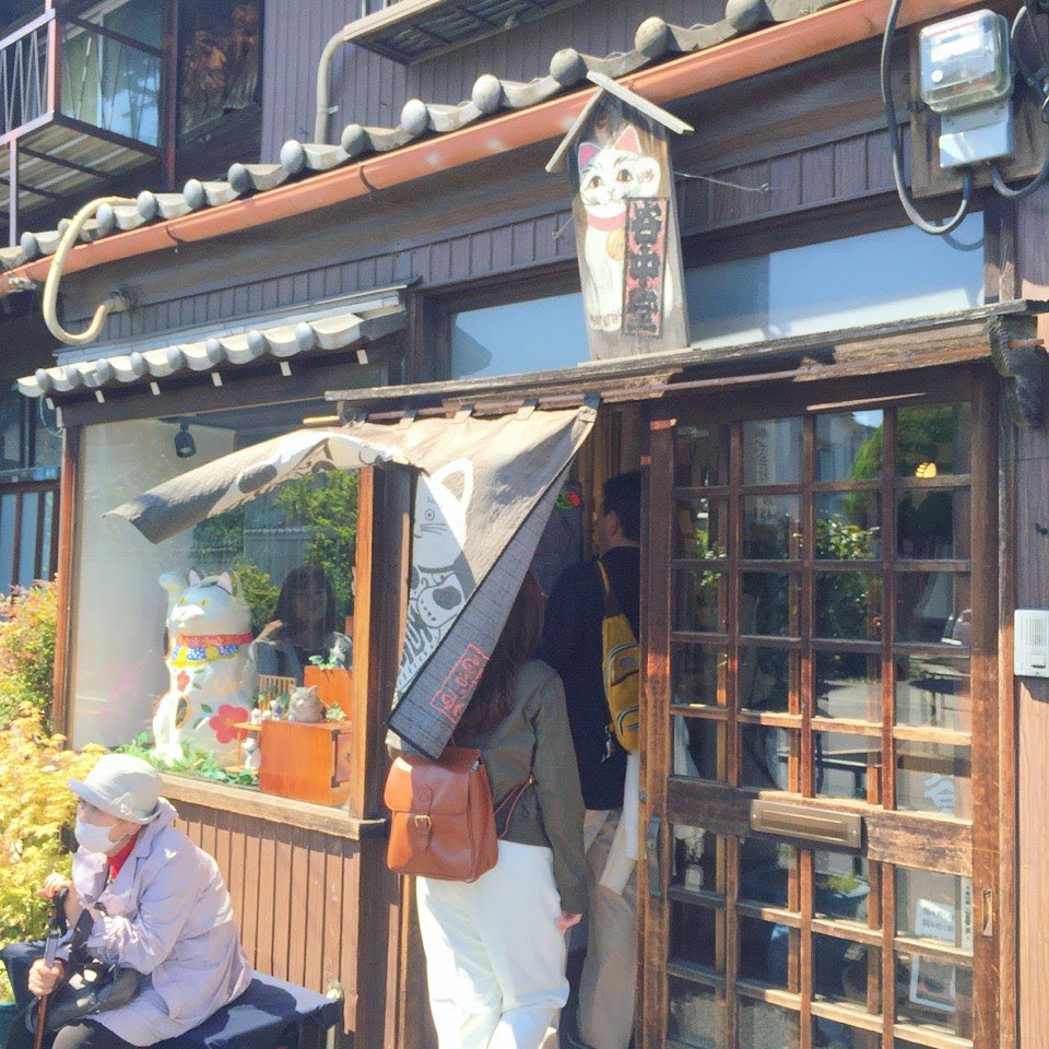 まにょん🐉 (@manyon24) / Posts / X