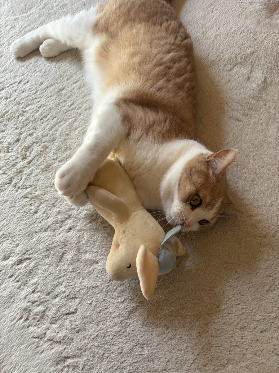 いっちゃん50🐦 (@ichyan45) / Posts / X