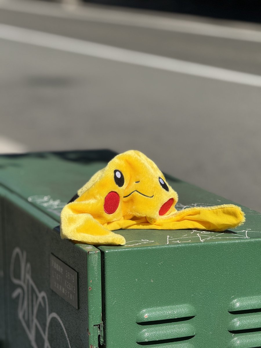 ピカチュウの抜け殻があらわれた‼️