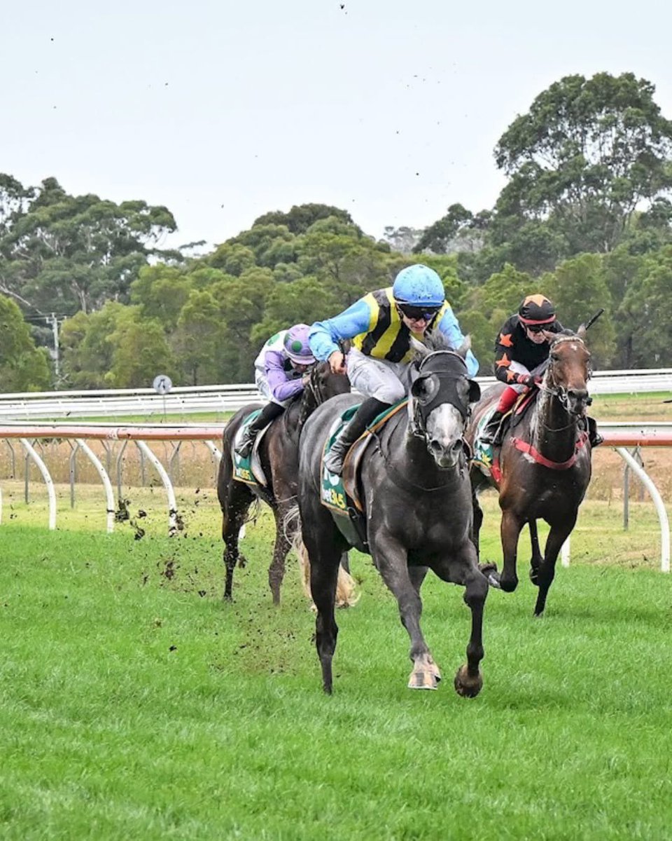 Sportsbet-Ballarat tweet media