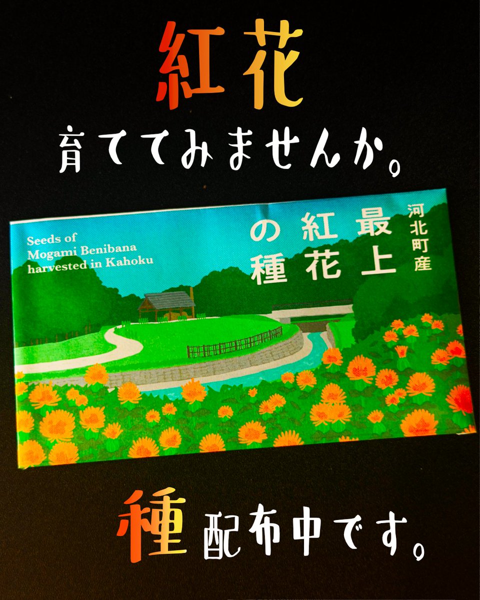サハト正面エントランスにて「紅花の種」を配布しております。ご自由に
