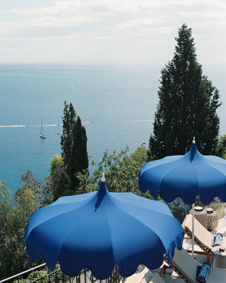 Delight Moments tweet media