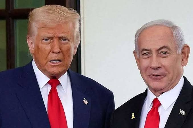 کلاغ سفید tweet media