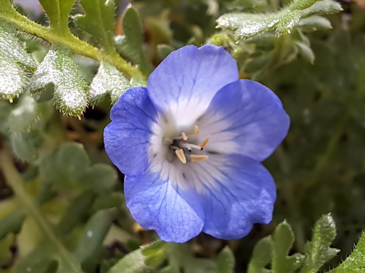 みののこ． tweet media