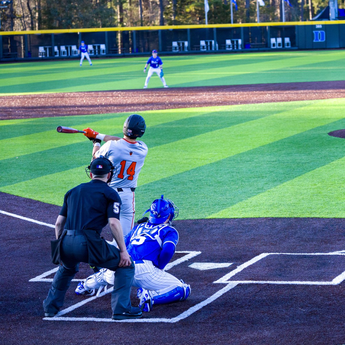 Princeton Baseball tweet media