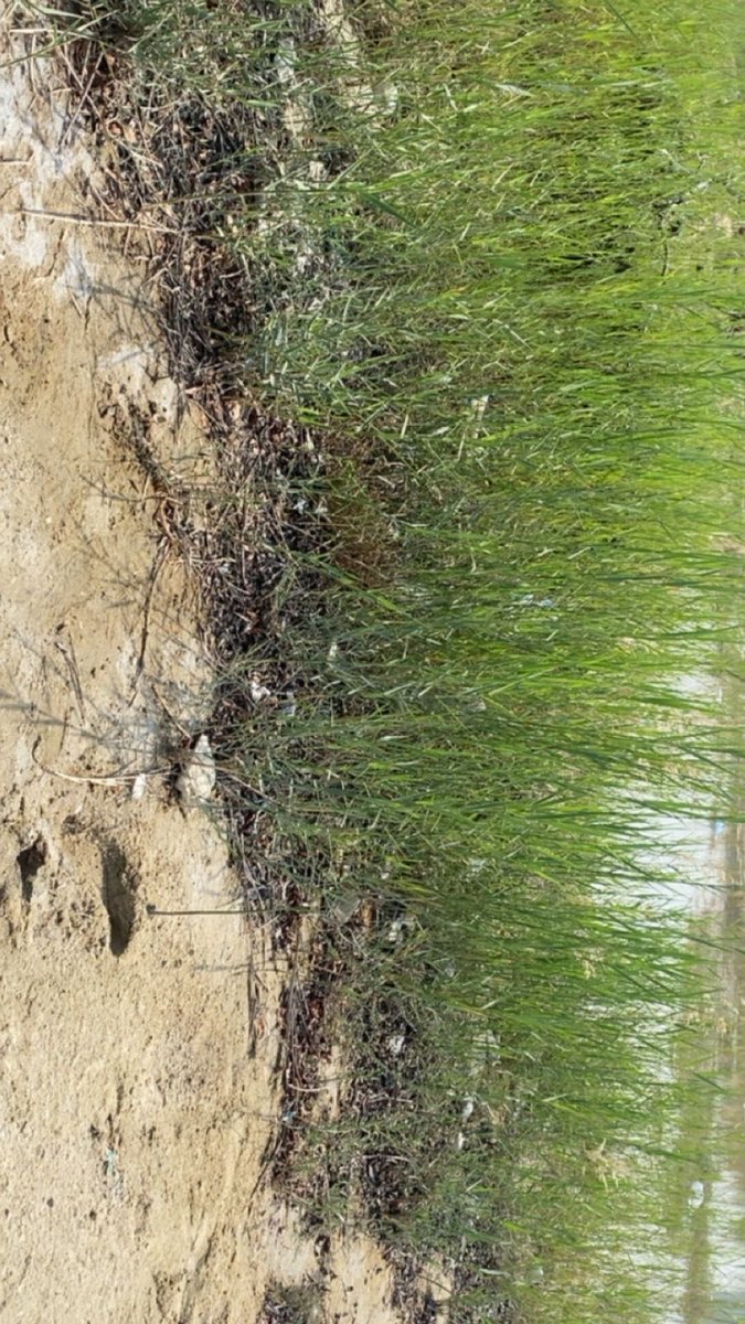 بالتوعية نحمي مواردنا الطبيعية tweet media