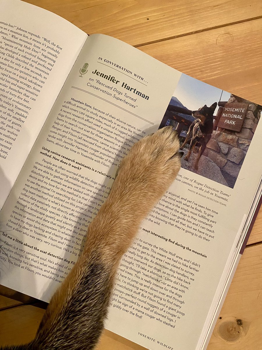 Beth Pratt tweet media