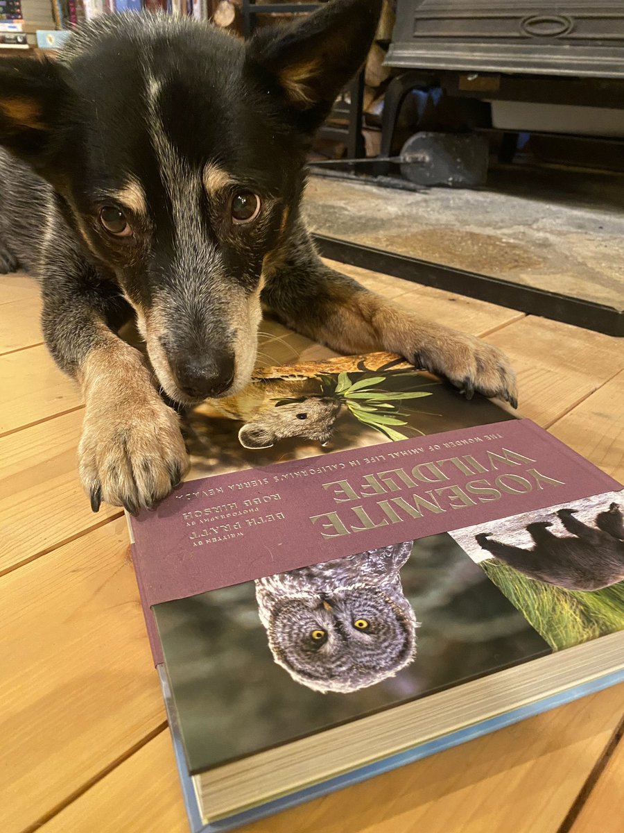 Beth Pratt tweet media