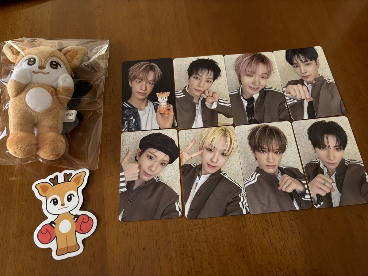 ファンベース様@NEXZ_JPFB より寄付企画のNEXZOOとトレカが届きました