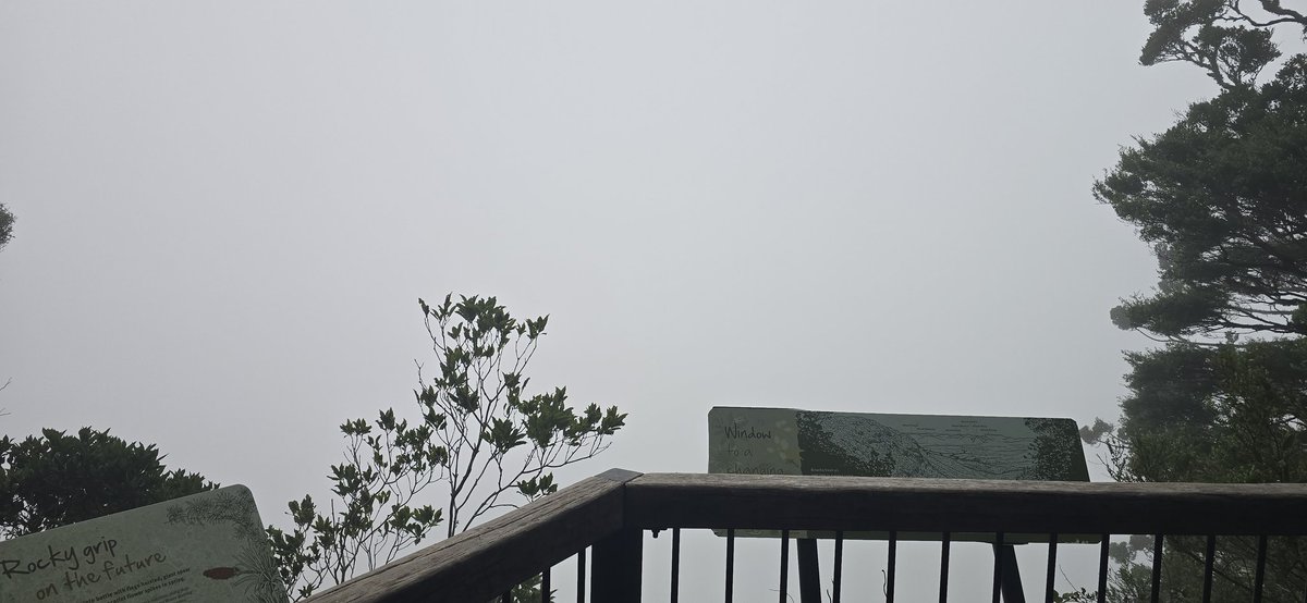 David Jordan tweet media