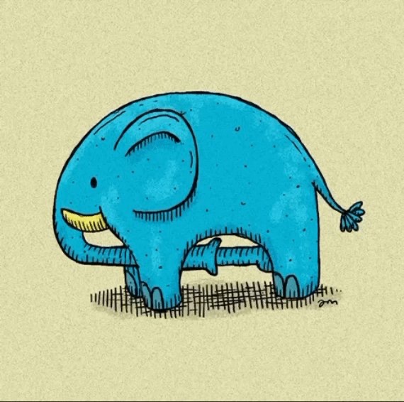 גילי🏆🧣 (@hassonipulus) on Twitter photo 