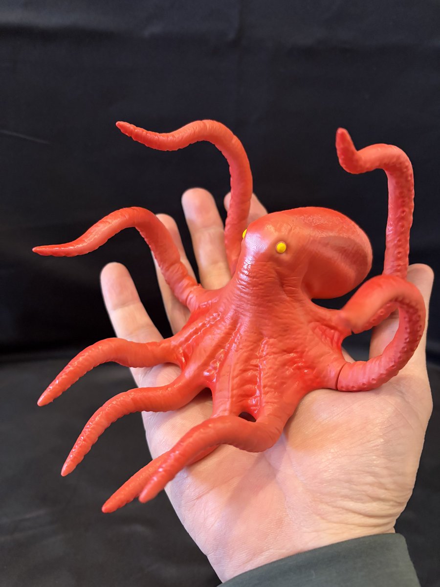 Post by Y・MSF LLC on X: タコ🐙