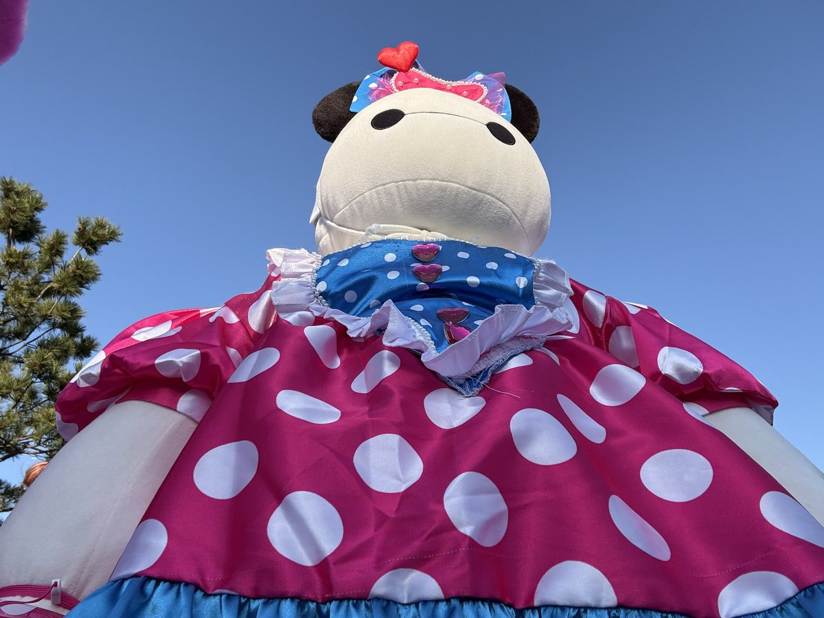 こんにちは！わたしはベイマックス( ꕹ ) 昨日は昼前から風が強くなっ