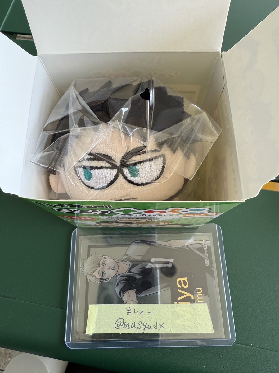 交換】 ハイキュー ハイキュープラザ ハイキューPLAZA ジロリ たわ