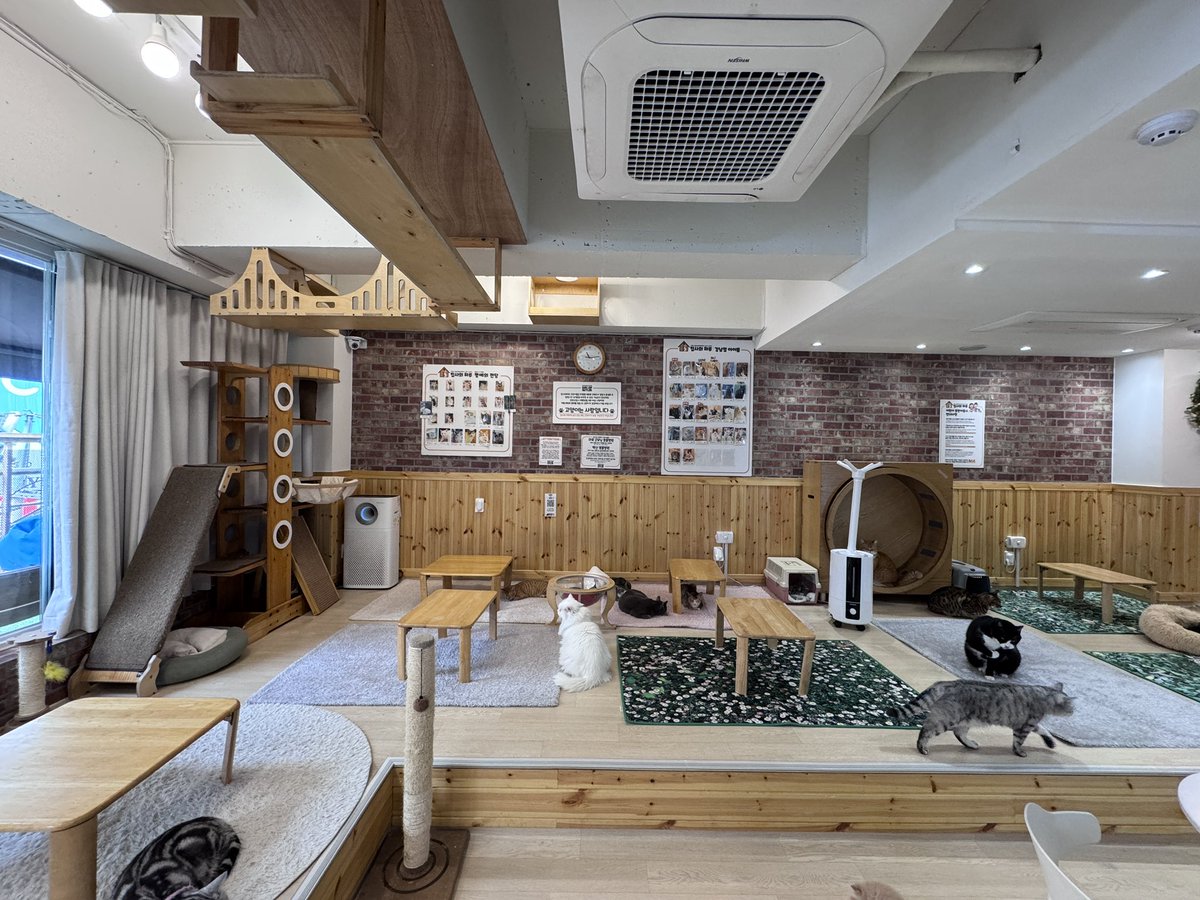 𝟹:𝟶𝟹 𝙱𝙻𝚄𝙴 𝙷𝙾𝚄𝚁🩵🤎
2026 APINK CHORONG BIRTHDAY CAFE EVENT 
2026  에이핑크 박초롱 생일카페 이벤트

D-2👀

📆2026.03.03(화)  12:00-22:00
📍집사의하루 강남점(유기묘보호소카페🐱🐈)
서울 강남구 테헤란로1길 40 5층

<a href="/Apinkpcr/">박초롱</a> 

#에이핑크 #박초롱
#Apink #Chorong