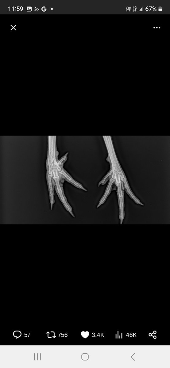 Briar Byrne tweet media