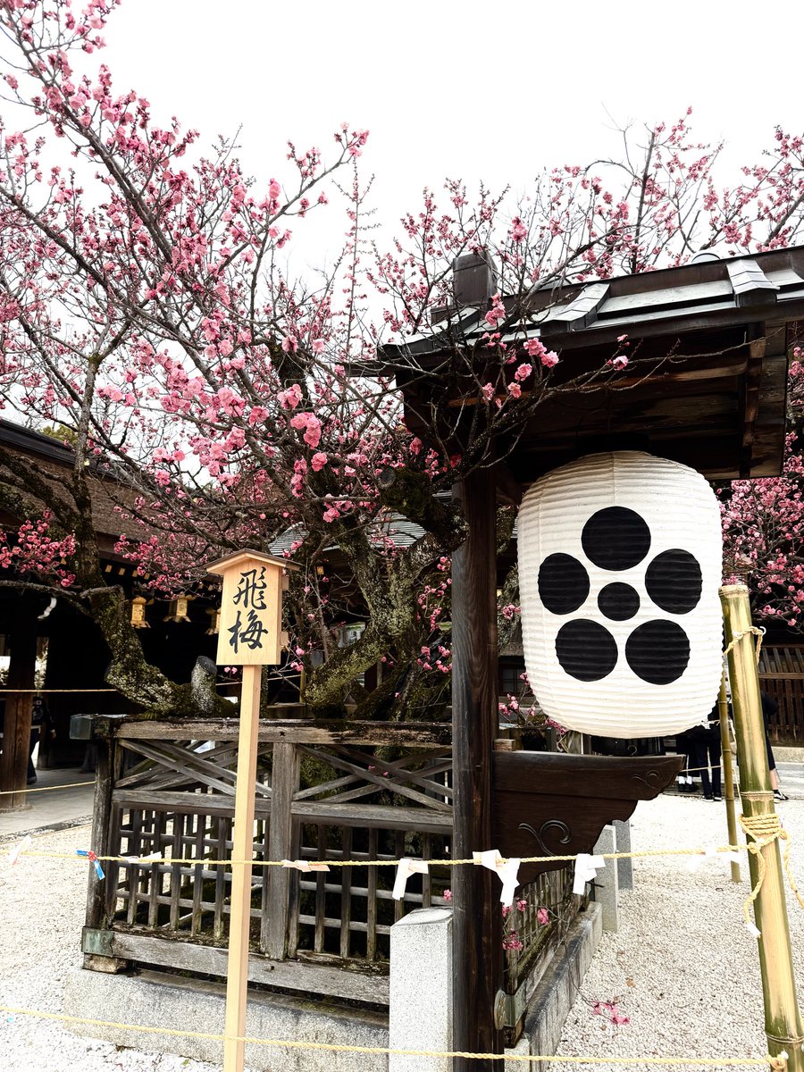 鵠-kou- tweet media