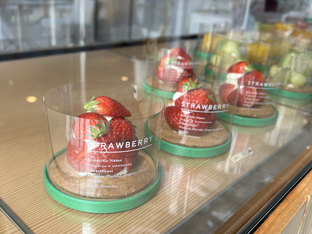 UozuBFM's tweet photo. 学芸員マサキンマンが「キニナった」のは旬のいちご🍓とっても美味しそうなケーキをお持ち帰りしましたよ。自分へのご褒美にいかがですか?カフェの後はぜひ博物館にも寄ってくださいね✨
https://t.co/KYQKkADKL6 #KININAL #魚津埋没林博物館 https://t.co/pNb5KoZ0Ri