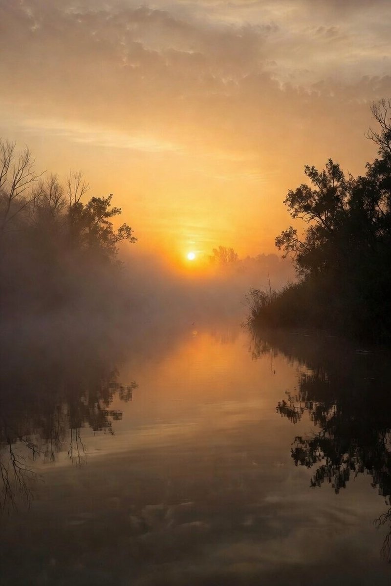 TheYieldMind Ⓜ️Ⓜ️T tweet media