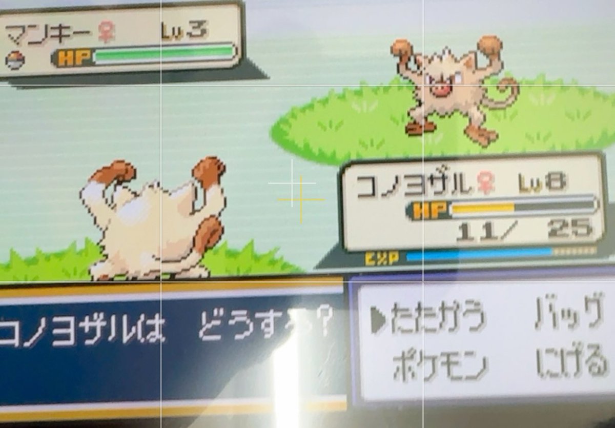 とも@ぽんちゃん tweet media