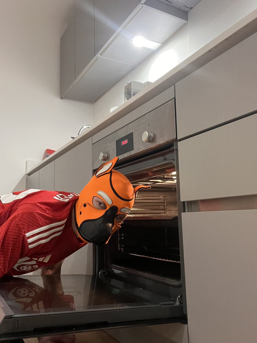 PuptheChipper 🔜 B&Q tweet media