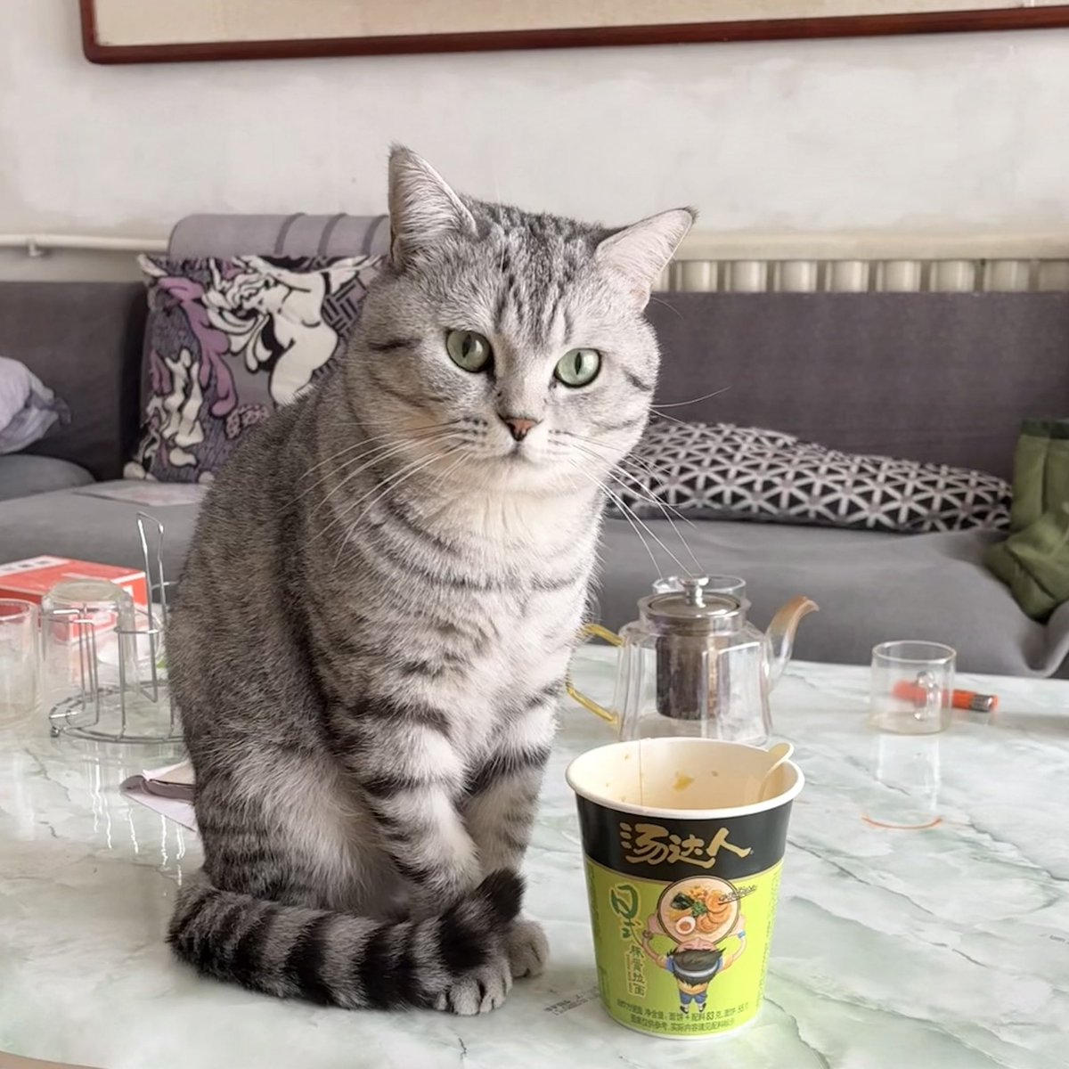 とても大きな……ねこ