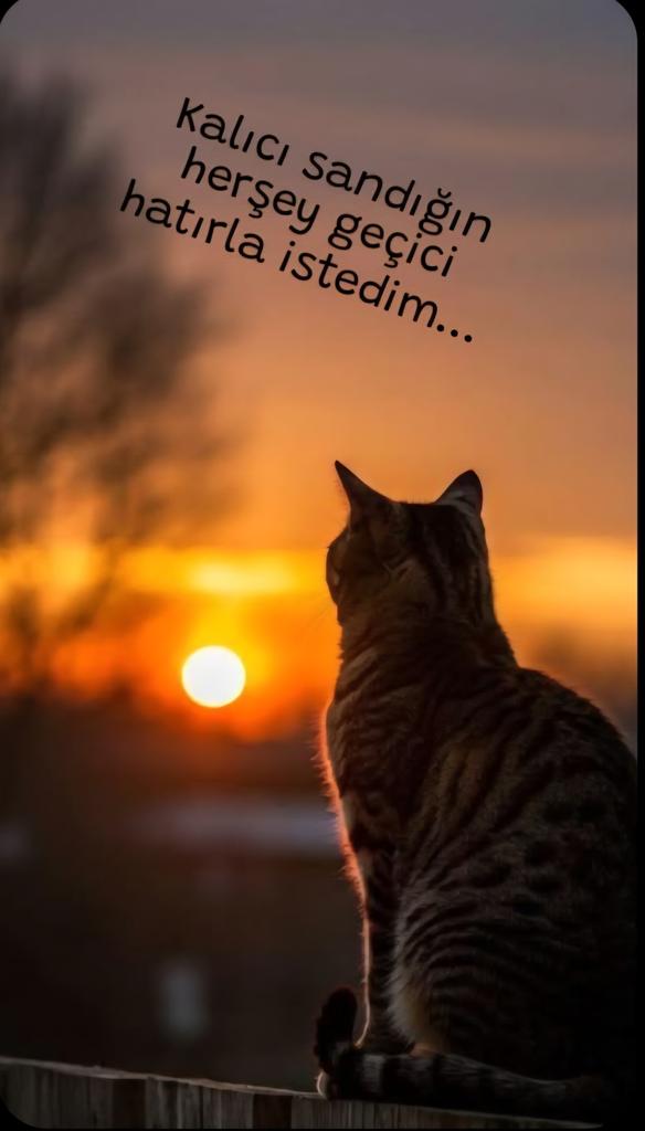 ⚘️ Selamünaleyküm 
       ==__///____Allah'ım;
    Seni zikretmek, sana şükretmek ve sana güzelce ibadet etmek için bize yardım eyle 

        Gününüz Hayırlı ve Huzurlu Musmutlu bereketli olsun .....
               Hayırlı sabahlar 🥀🌥🍂