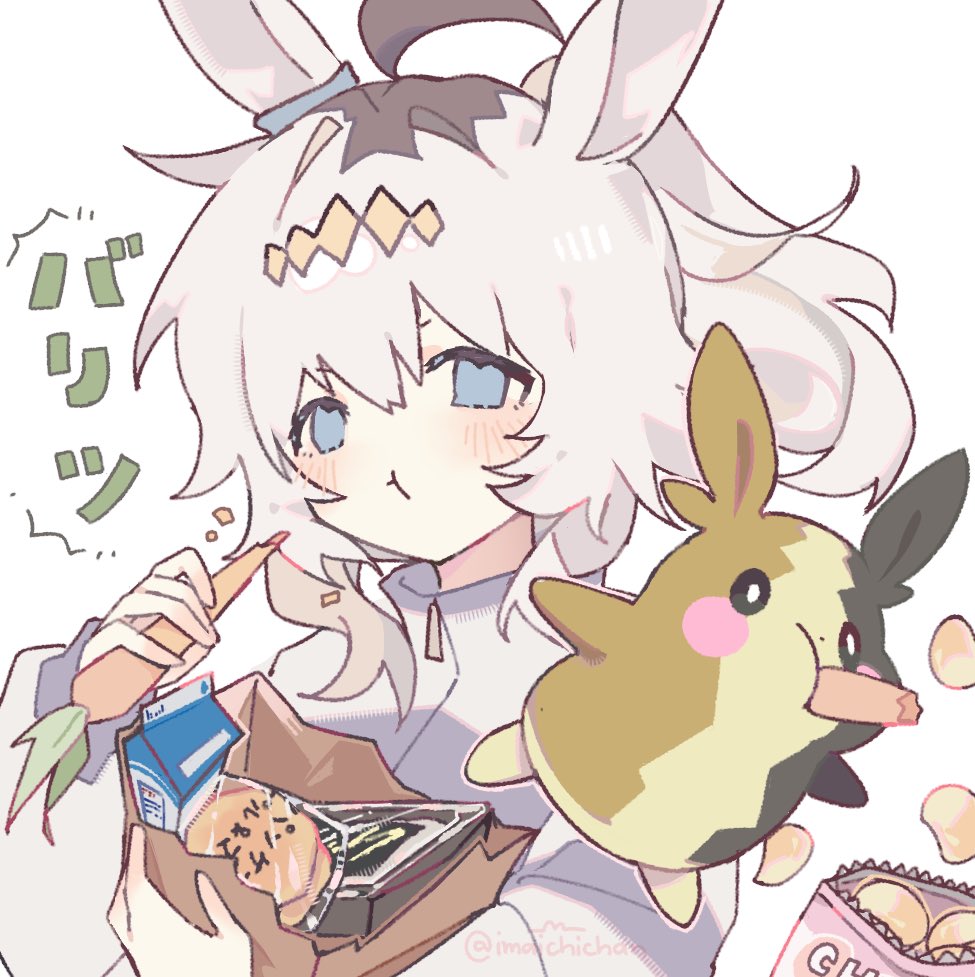 imaichichan's tweet photo. いつもお腹すいてる！！ https://t.co/9X42no4cVg