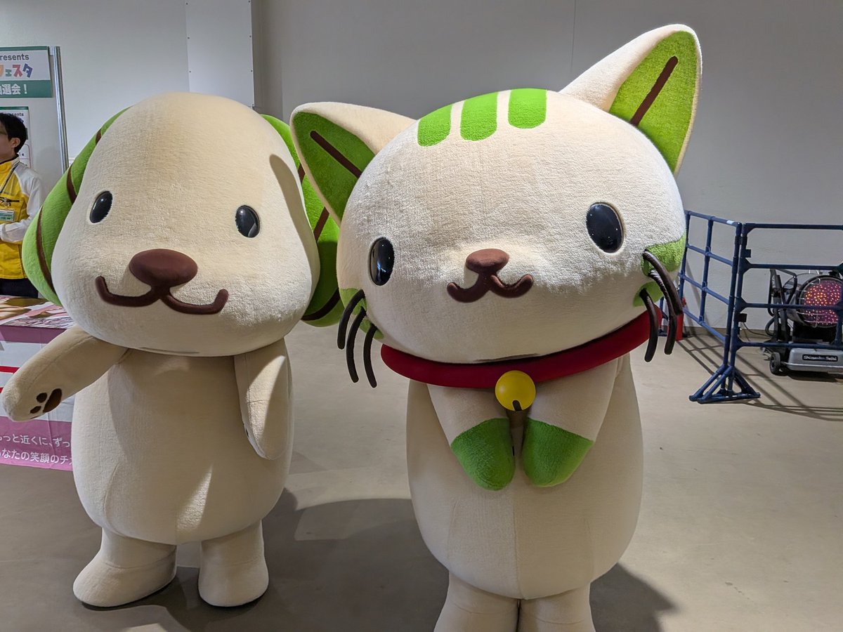 スーギー🐶とスーニャ🐱可愛いねー #スギ薬局